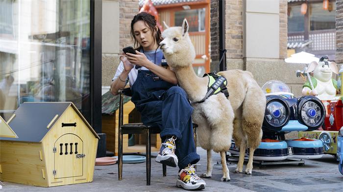 尹正主演电影《保你平安》全国上映 宠物美容师引路助力寻真之旅